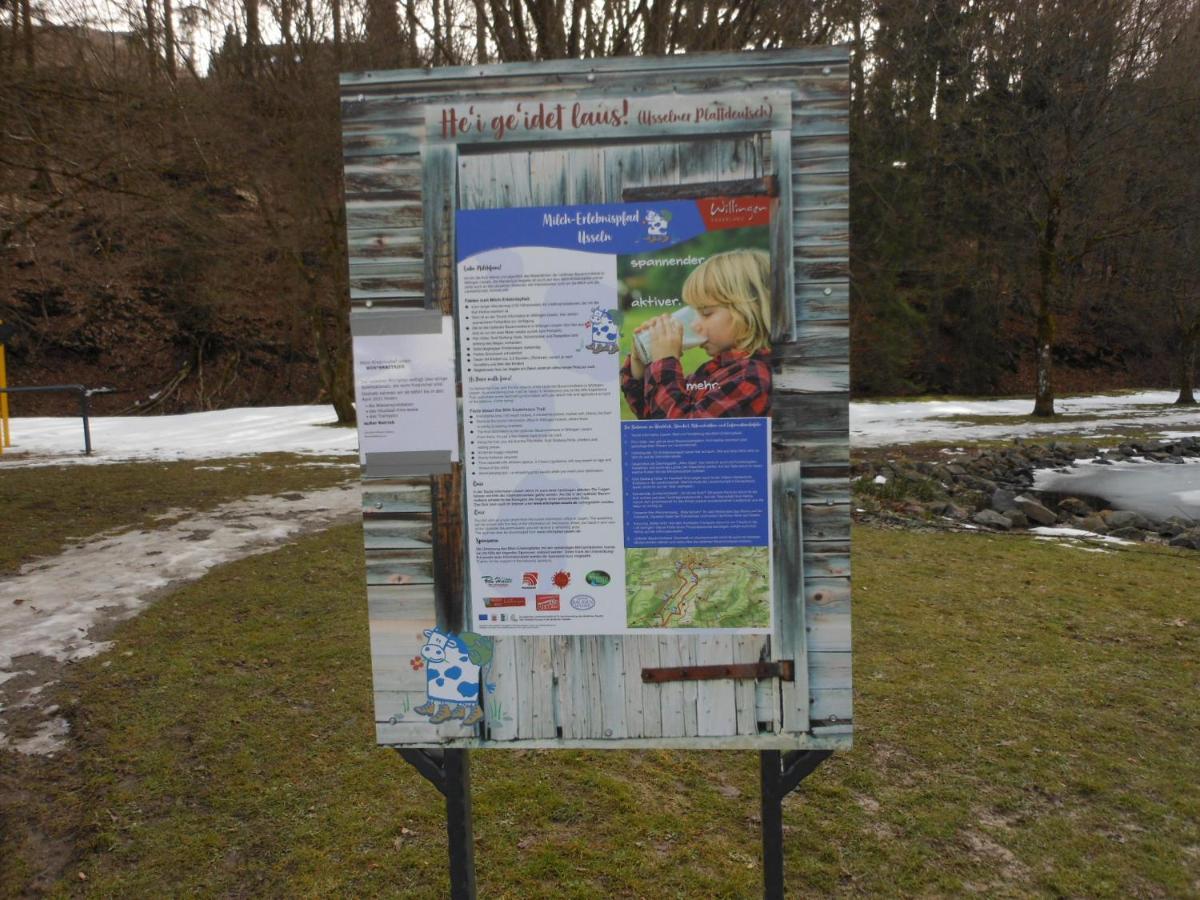 Ferienwohnungen Westfalenhof Willingen  Exterior photo